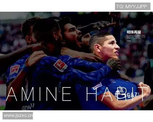 足球明星大揭秘结尾猜谜综艺挑战你的足球知识与直觉